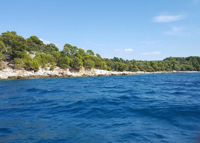 Vrancic By Interhome Διαμέρισμα Ρόβινι