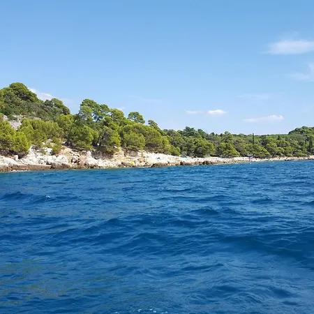 Vrancic By Interhome Daire Rovinj